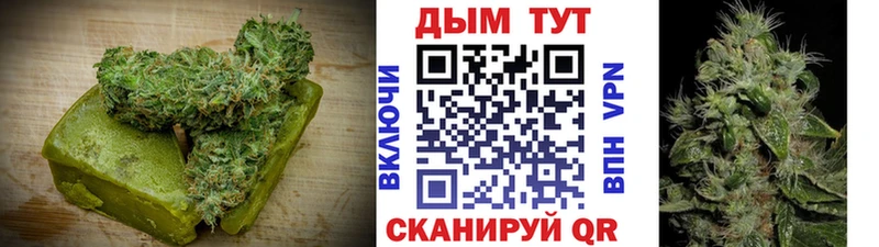 купить  цена  KRAKEN ссылка  Еда ТГК конопля  Нефтегорск 