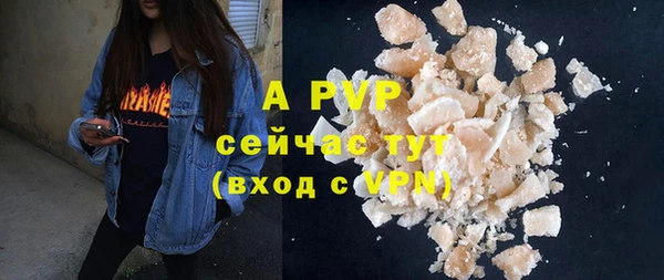 соль ск Новозыбков